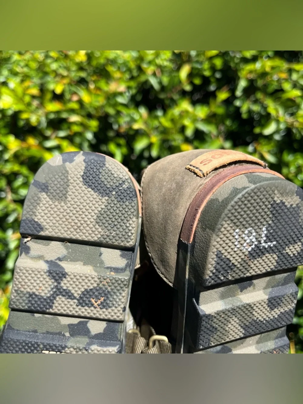 Sorel features torpeda